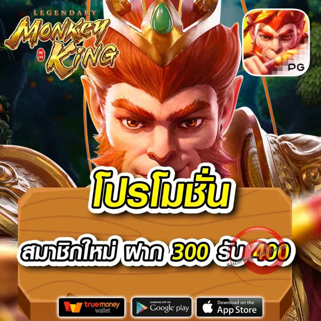 ทางเข้า Nokplus